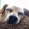 elroperodekarla - @elroperodekarla - TikTok