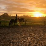 🄺🄰🅁🄻🄰 🅁🅄🄳 - @karlarud.dressage - Instagram