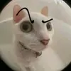 Karla.Ruppersberger - @karlaruppersbergernhlljo - TikTok