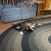 Karla Rutherford - Facebook