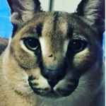 Karl Aryan - @karl.aryan - Instagram