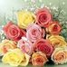 Karla Sabo - Facebook