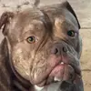 Karlasalgado - @karlasalgadoc - TikTok