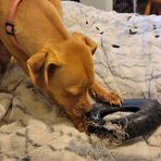 Karla Schaefer - Facebook