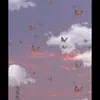 karlaschaefer5❤️ - @karlaschaefer5 - TikTok