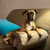karlascrivner - @karlascrivner - TikTok