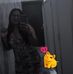 Karla R. Sequeira - Facebook