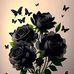 Karla Sequeira - Facebook