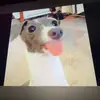 karla sheldon - @karla.sheldon2 - TikTok