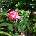 Karla Specht - Facebook