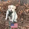 Karla Sprague - @karla.sprague - TikTok
