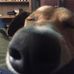 Carlo Saires - Facebook