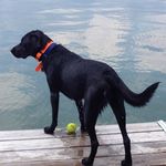 Karla Stanek Williams - @karla_willi_75 - Instagram