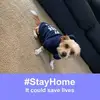 karlastanley253 - @karlastanley253 - TikTok