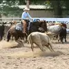 karlasteckel - @karlasteckel - TikTok