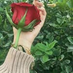 karlaterry - @karlaterry73 - Instagram