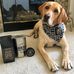Karla Townsend - Facebook