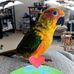 Karla Townsend - Facebook