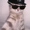 Brodiesbackupaccount67 - @karlatrott11 - TikTok