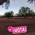 Karla Valiente - Facebook