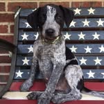 Karla Willis Reynolds - @kreynolds9345 - Instagram