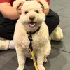karlawillisqv5212 - @karlawillisqv5212 - TikTok