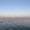 karlaa.wolff - @karlaa.wolff - TikTok