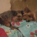 Karlee Long - Facebook