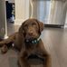 Karlee Walker - Facebook
