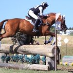 Karleen Williams - @karleenw_eventing - Instagram