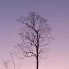 karley.farmer - @karley.farmer21 - TikTok