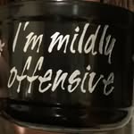 Karly Sellers - @the.mildly.offensive.crafter - Instagram