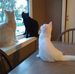 Carla Clapp - Facebook