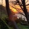 Karli Myers101 - @themsmyers - TikTok