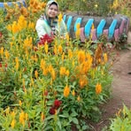 Karliinna New - Facebook