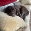 karli__rose - @karli___rose - TikTok
