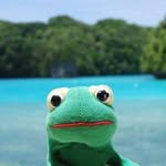Karli Thomas - @traveling_froggy - Instagram