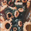 Carlie Brady - @carliebrady09 - TikTok