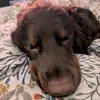 karlieclark942 - @karlieclark942 - TikTok