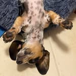 Karlee Doyle - @kmd_thats_me - Instagram