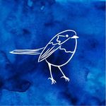 Karli Fischer - @fairywren_facepainting - Instagram