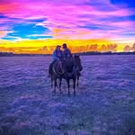 Karli Ford - @ford260 - Instagram