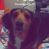 Karlie Howard - @karliehoward37 - TikTok