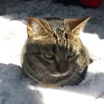 karlie miller - @kale_cat_64 - Instagram