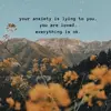 Karlie nicole - @calming_fidget - TikTok