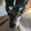 Karlie Parker - @karlie.parker - TikTok