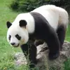 Karlie Skinner - @user1205549140041 - TikTok