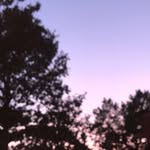 karlie thompson - @kpt.sing3 - Instagram