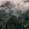 KarlieWise - @karliewise - TikTok