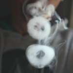 Karlin James - @karlinjames - Instagram